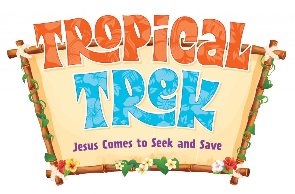 VBS logo